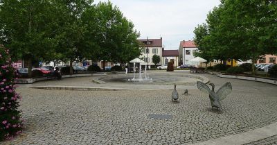 IX Bieg Pilicy w Białobrzegach - sportowe święto nad Pilicą