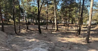 Przy Mikowskiej i Spacerowej powstaje park z retencją